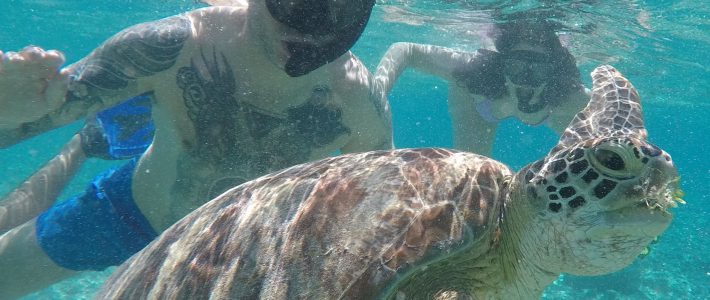 Wisata Snorkeling 3 Gili Lombok