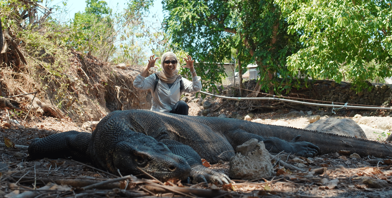 KOMODO DRAGON